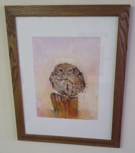 Owl